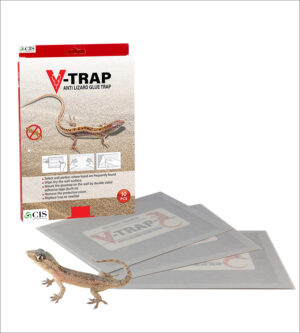 V-trap -anti lizard glue trap