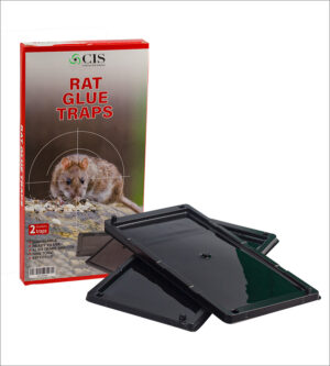 CIS-A glue trap is a sticky flat surface to hold a rodent in place until it can be removed